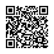 QR Code (код быстрого отклика)