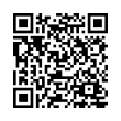 QR Code (код быстрого отклика)
