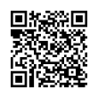 QR Code (код быстрого отклика)