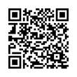QR Code (код быстрого отклика)