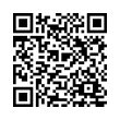 QR Code (код быстрого отклика)