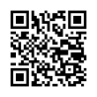 QR Code (код быстрого отклика)