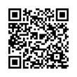 QR Code (код быстрого отклика)