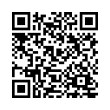 QR Code (код быстрого отклика)
