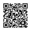 QR Code (код быстрого отклика)