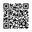 QR Code (код быстрого отклика)