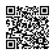 QR Code (код быстрого отклика)