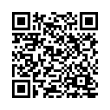 QR Code (код быстрого отклика)