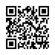 QR Code (код быстрого отклика)