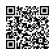 QR Code (код быстрого отклика)