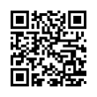 QR Code (код быстрого отклика)