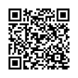 QR Code (код быстрого отклика)