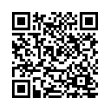 QR Code (код быстрого отклика)