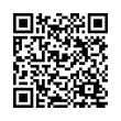 QR Code (код быстрого отклика)