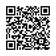 QR Code (код быстрого отклика)