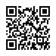 QR Code (код быстрого отклика)