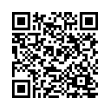 QR Code (код быстрого отклика)