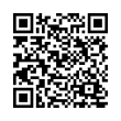 QR Code (код быстрого отклика)