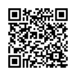 QR Code (код быстрого отклика)