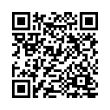 QR Code (код быстрого отклика)