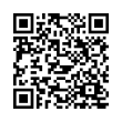 QR Code (код быстрого отклика)