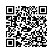 QR Code (код быстрого отклика)