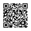 QR Code (код быстрого отклика)