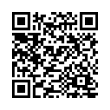 QR Code (код быстрого отклика)