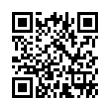 QR Code (код быстрого отклика)