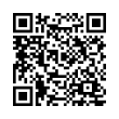 QR Code (код быстрого отклика)