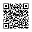 QR Code (код быстрого отклика)