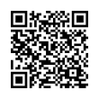 QR Code (код быстрого отклика)