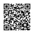 QR Code (код быстрого отклика)