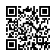 QR Code (код быстрого отклика)