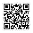 QR Code (код быстрого отклика)