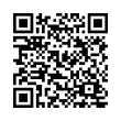 QR Code (код быстрого отклика)