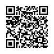 QR Code (код быстрого отклика)