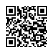 QR Code (код быстрого отклика)