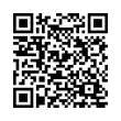 QR Code (код быстрого отклика)