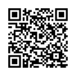 QR Code (код быстрого отклика)