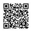 QR Code (код быстрого отклика)