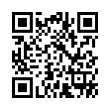 QR Code (код быстрого отклика)