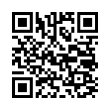 QR Code (код быстрого отклика)