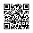 Código QR (código de barras bidimensional)