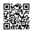 QR Code (код быстрого отклика)