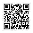 QR Code (код быстрого отклика)