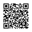 QR Code (код быстрого отклика)