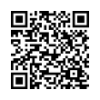 QR Code (код быстрого отклика)