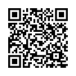 QR Code (код быстрого отклика)