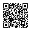 QR Code (код быстрого отклика)